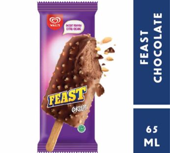 Feast Chocolate Ice Cream – 65ML
